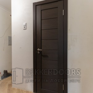 Дверь ФОРУМ (Горизонталь),в цвете ВЕНГЕ (ст. черное/FM-07)